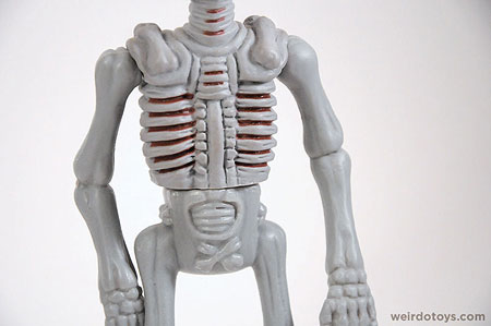 Bloody-Mouthed Skeleton